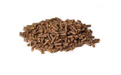 Kudo Red Meat & Vegetables Mini Adult kaltgepresstes Hundefutter – Detailansicht der Kroketten für kleine Hunde.